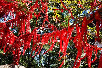 第一人称恐怖游戏《女鬼桥：开魂路》试玩Demo 上线Steam